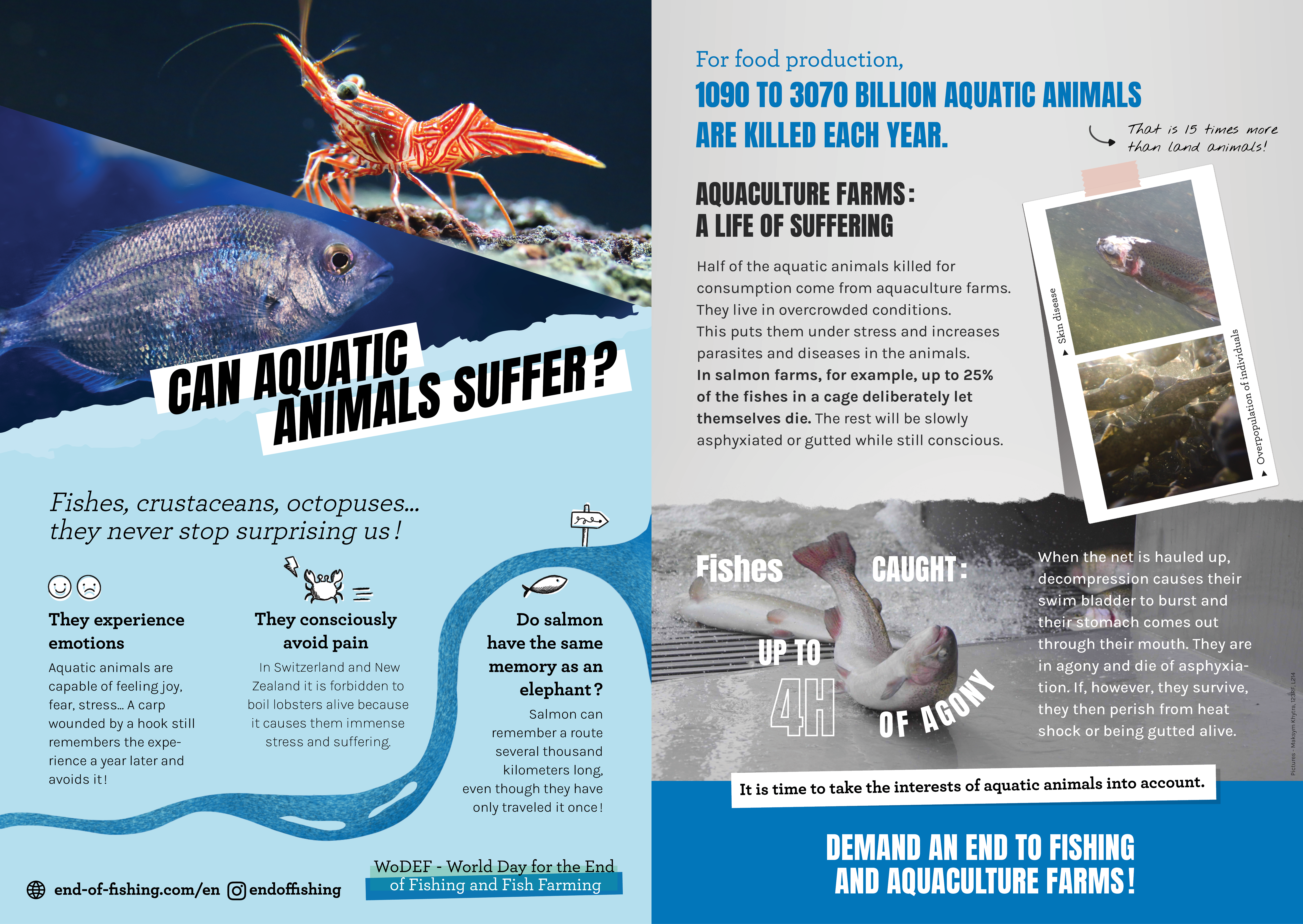 Flyer Aquatic Animals2-imageonline.co-merged.png