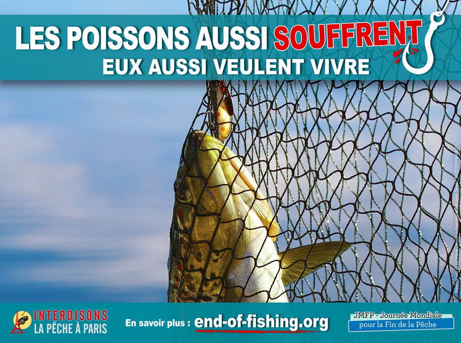 affiche_imprimeur_light.jpg